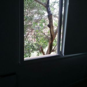 IMG-20131209-WA015